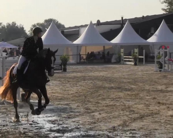 Datteln 2013