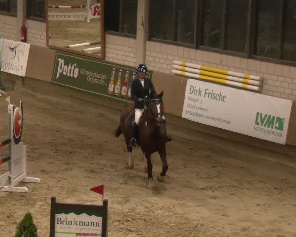 Reitturnier Oelde 2024