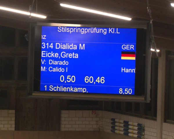 Reitturnier Oelde 2024