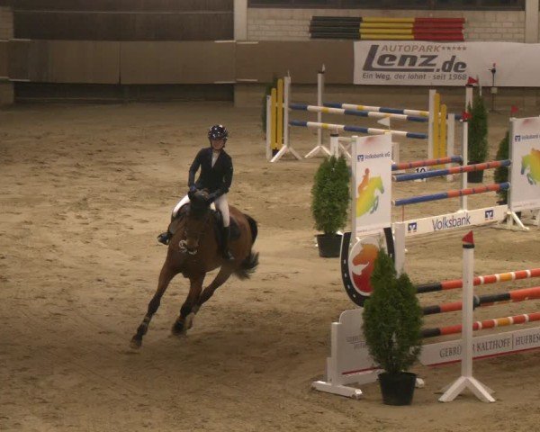 Reitturnier Oelde 2024