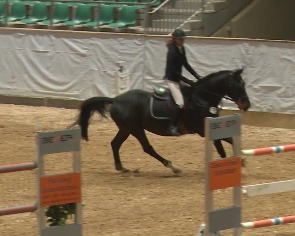 Reitturnier Kreuth/Opf. 2024