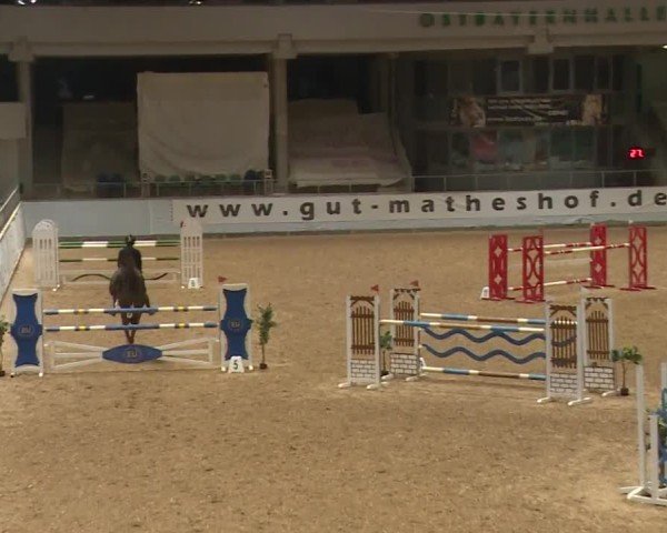 Reitturnier Kreuth/Opf. 2024
