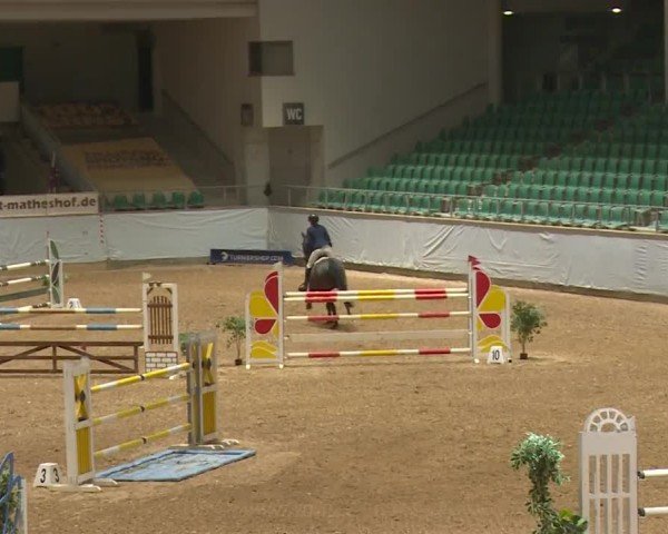 Reitturnier Kreuth/Opf. 2024