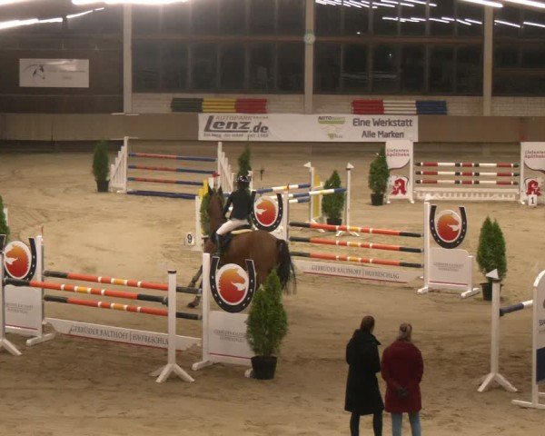 Reitturnier Oelde 2024