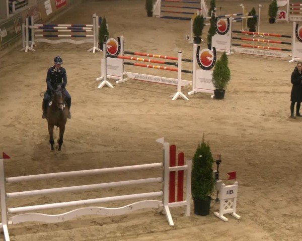 Reitturnier Oelde 2024