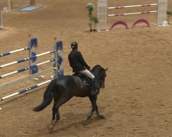 Reitturnier Kreuth/Opf. 2024