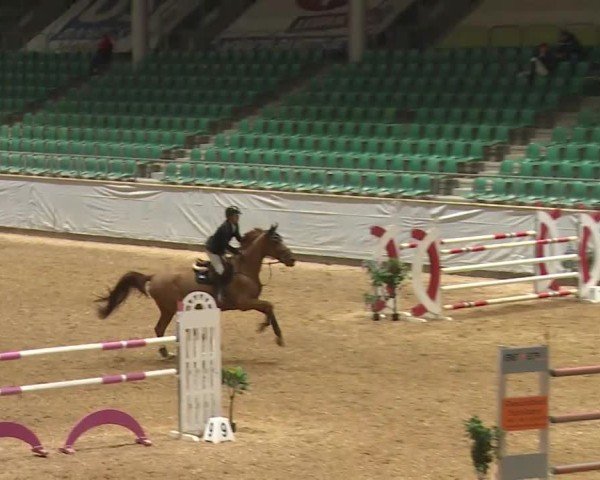 Reitturnier Kreuth/Opf. 2024