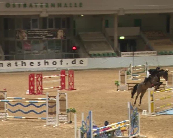 Reitturnier Kreuth/Opf. 2024