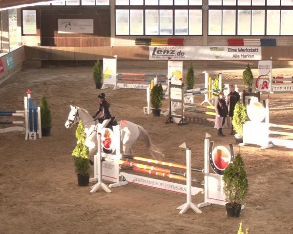 Reitturnier Oelde 2024
