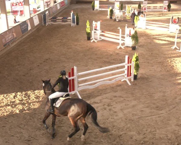 Reitturnier Oelde 2024