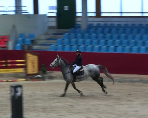 Reitturnier Neustadt/Dosse - Graf von Lindenau-Halle 2024