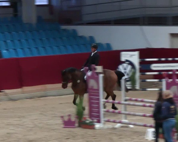 Reitturnier Neustadt/Dosse - Graf von Lindenau-Halle 2024