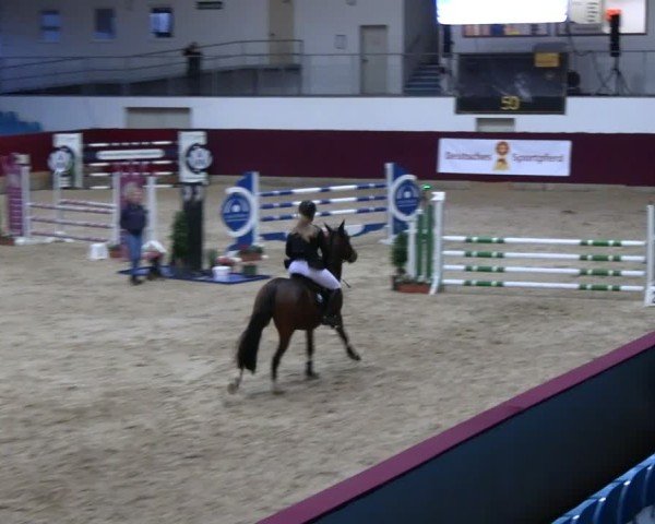 Reitturnier Neustadt/Dosse - Graf von Lindenau-Halle 2024