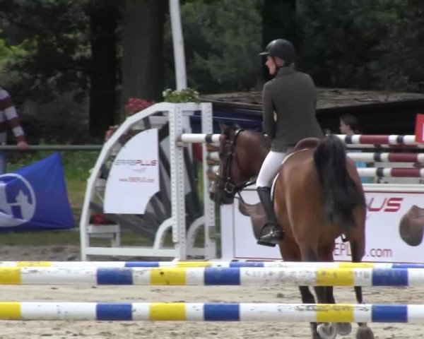 Datteln 2013