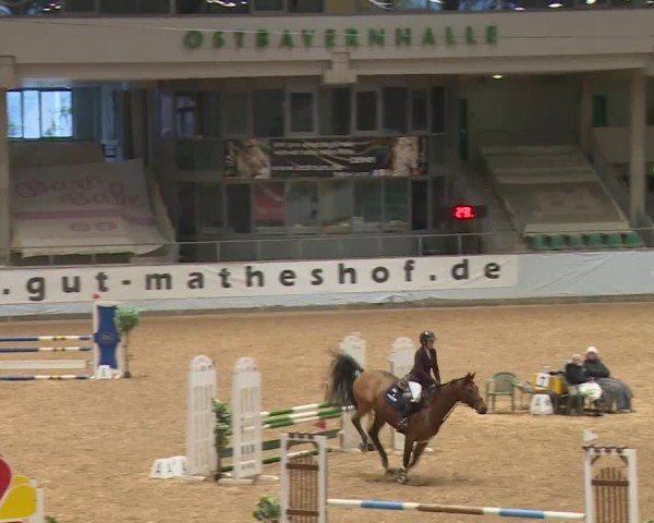Reitturnier Kreuth/Opf. 2024