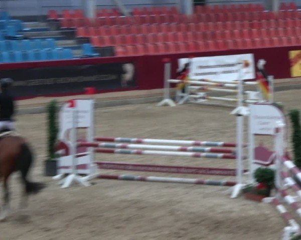 Reitturnier Neustadt/Dosse - Graf von Lindenau-Halle 2024