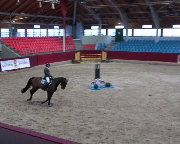Reitturnier Neustadt/Dosse - Graf von Lindenau-Halle 2024