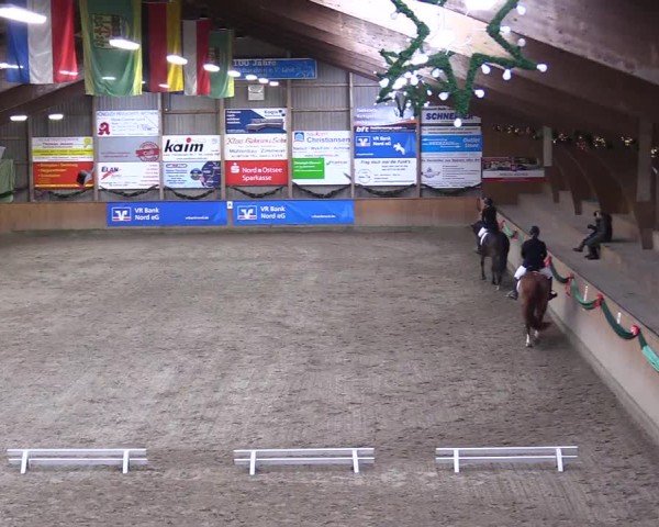 Reitturnier Leck 2024