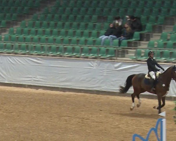 Reitturnier Kreuth/Opf. 2024