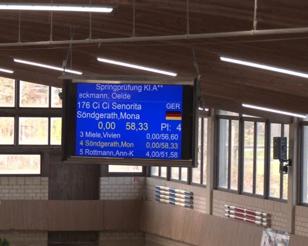 Reitturnier Oelde 2024