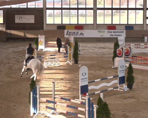 Reitturnier Oelde 2024