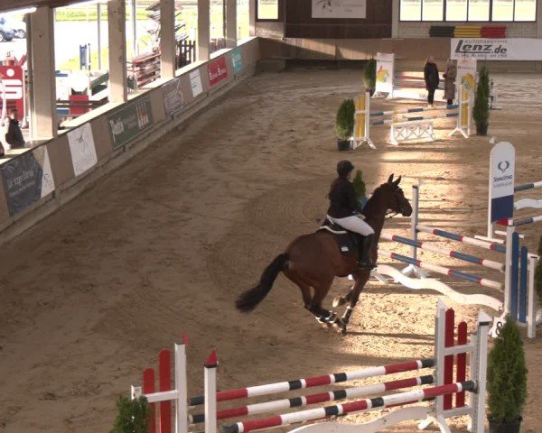 Reitturnier Oelde 2024