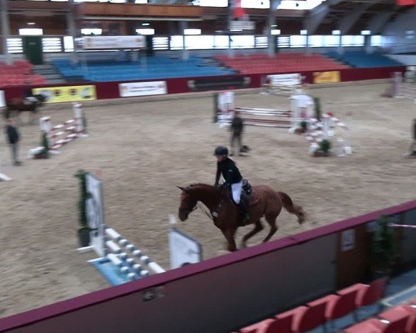 Reitturnier Neustadt/Dosse - Graf von Lindenau-Halle 2024