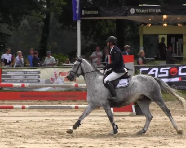 Datteln 2013
