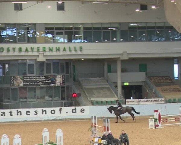 Reitturnier Kreuth/Opf. 2024