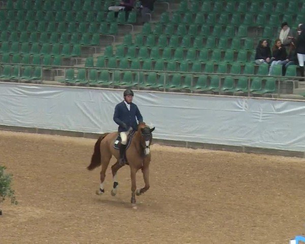 Reitturnier Kreuth/Opf. 2024