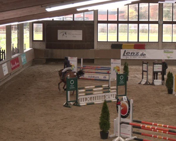Reitturnier Oelde 2024