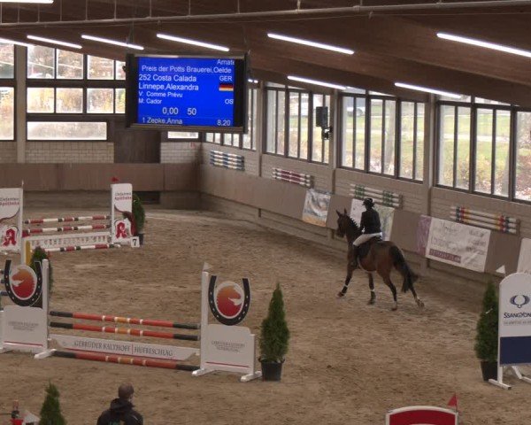 Reitturnier Oelde 2024