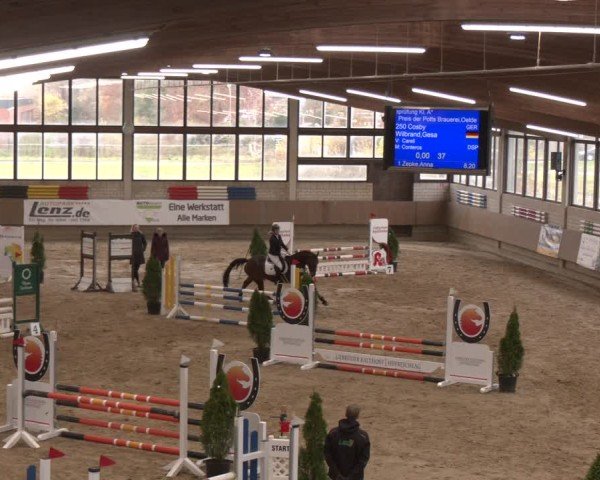 Reitturnier Oelde 2024