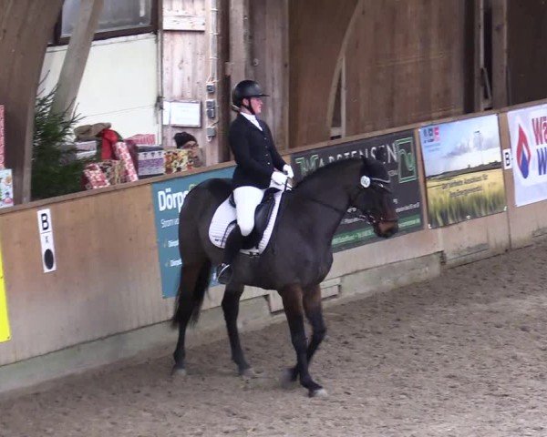 Reitturnier Leck 2024