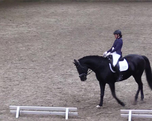 Reitturnier Leck 2024