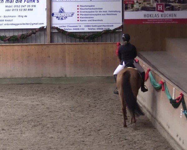 Reitturnier Leck 2024
