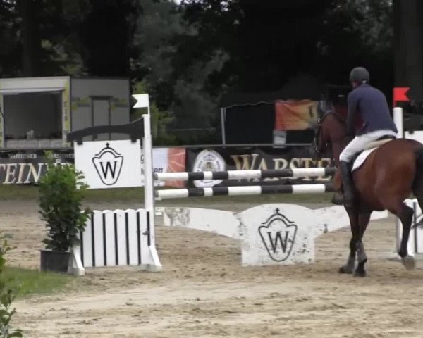 Datteln 2013