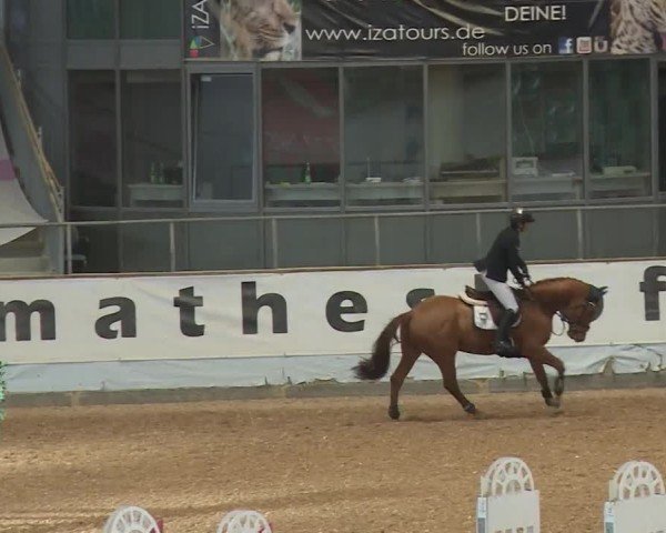 Reitturnier Kreuth/Opf. 2024