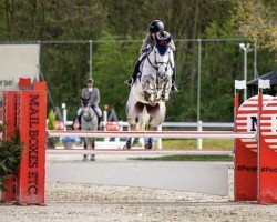 jumper Mokka van het Haringvliet (anglo european sporthorse, 2017, from Monte Bellini)