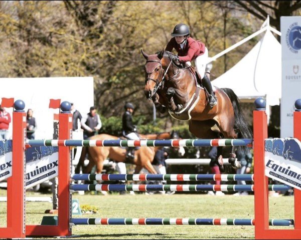 jumper Emerette (KWPN (Royal Dutch Sporthorse), 2009, from Diarado)