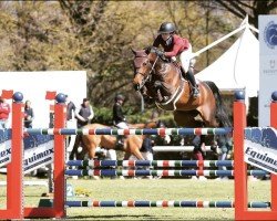 jumper Emerette (KWPN (Royal Dutch Sporthorse), 2009, from Diarado)
