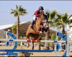 jumper Balounet (Oldenburg, 2013, from Balou du Rouet)