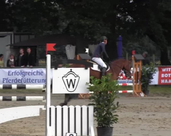 Datteln 2013