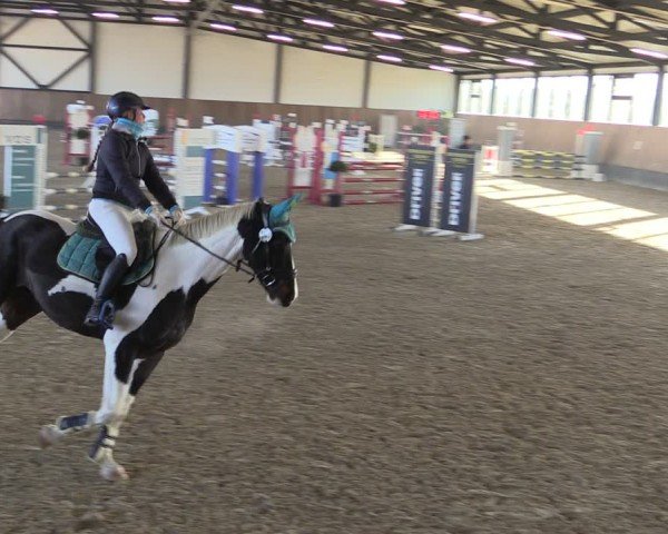 Reitturnier Zwickau 2024