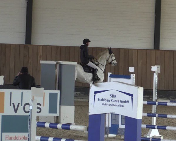Reitturnier Zwickau 2024