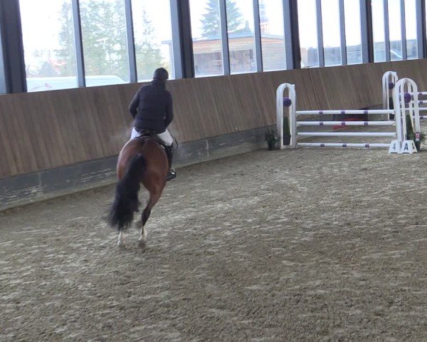 Reitturnier Zwickau 2024