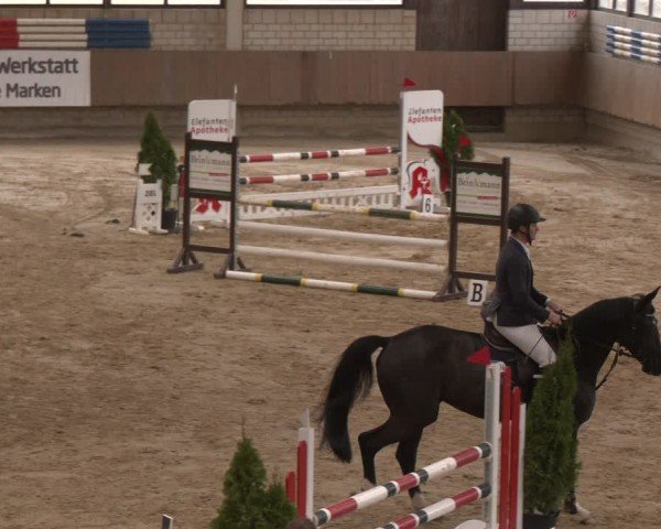 Reitturnier Oelde 2024