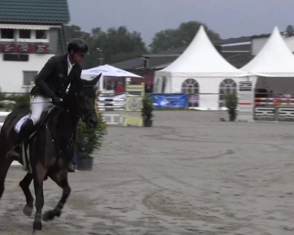 Datteln 2013