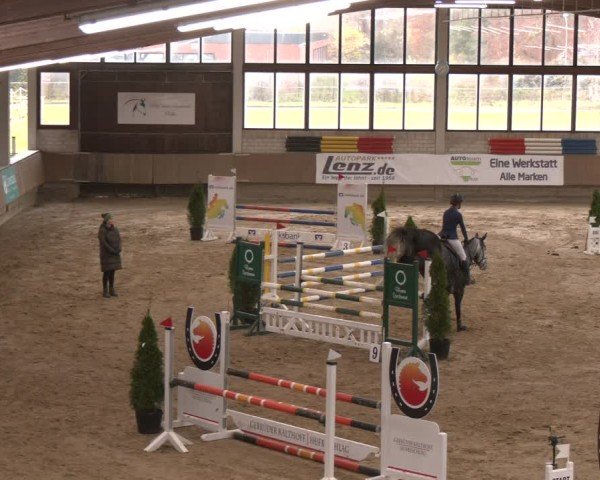 Reitturnier Oelde 2024