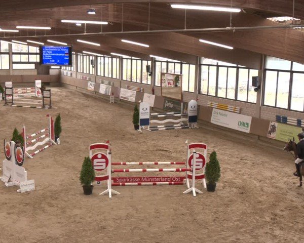 Reitturnier Oelde 2024